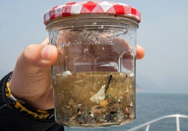 如果知道海洋中的塑料垃圾會(huì)進(jìn)入人類肚子，你還會(huì)丟嗎？