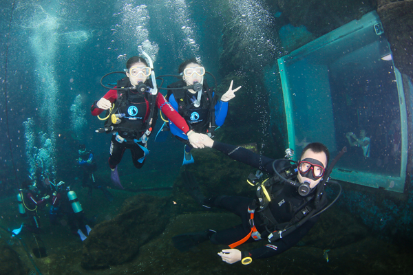 12/12正式上線！PADI 最新課程【休閑潛水員Resort Diver】 丨 一天拿證，潛遍全球