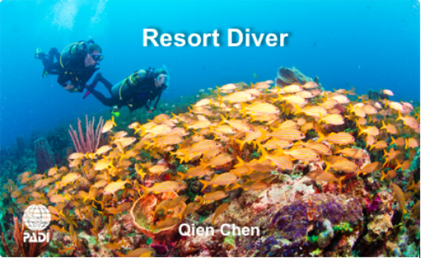 12/12正式上線！PADI 最新課程【休閑潛水員Resort Diver】 丨 一天拿證，潛遍全球