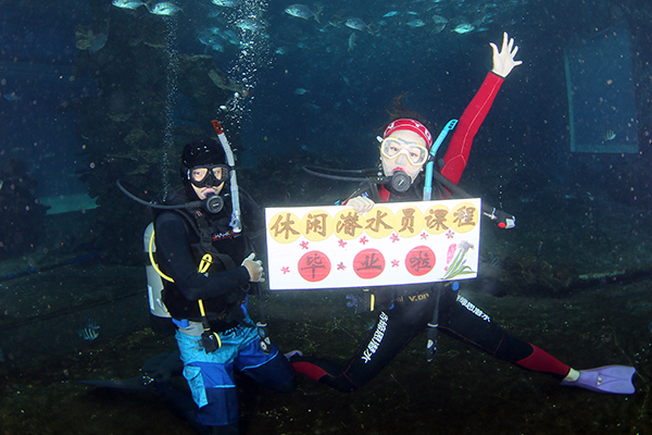 12/12正式上線！PADI 最新課程【休閑潛水員Resort Diver】 丨 一天拿證，潛遍全球