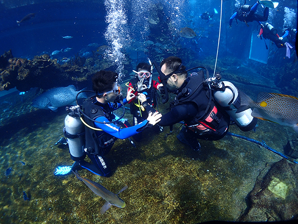 12/12正式上線！PADI 最新課程【休閑潛水員Resort Diver】 丨 一天拿證，潛遍全球